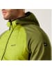 Regatta Hybrid Steppjacke Andreson VIII Hybrid in Lime
