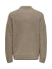Only&Sons Strickpullover ' ONSDALE RLX LS POLO' in braun