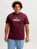JACK & JONES PLUS T-shirt in Chocolate Truffle