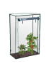 relaxdays 2 x Tomatengewächshaus in Transparent - (B)100 x (H)150 x (T)50 cm