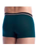 Abanderado Boxershorts in Green
