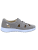Ganter Klara Klara in taupe