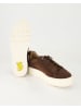 SALAMANDER Sneaker low in Braun