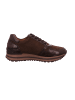 Gabor Sneaker Low in chocolate