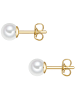 Trilani Perlen-Ohrstecker aus Sterling Silber mit Muschelkernperle in gelbgold