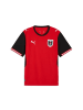 Puma T-Shirt "Öfb Home Jersey Replica" in Rot