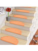 Pergamon Natur Sisal Stufenmatten 15er-Set in Orange