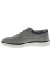 Armata di Mare Sneaker AMUS25L710-GREY Grau