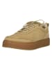 Clarks Sneaker Boxbee Lace in 5252 Maple Suede