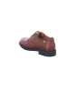 Pikolinos Schnürschuh in braun