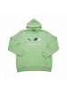 Puma Hoodie BMW MMS ESS in Grün