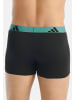 Adidas Sportswear Retro Short / Pant Active Flex Cotton in Schwarz / grün / blau