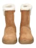 Geox Stiefel in Whisky