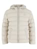 Urban Classics Winterjacken in wolfgrey