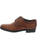 LLOYD DAVENPORT Business Schuh Braun