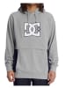 DC Shoes Sweatshirt in Grau