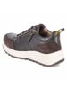 SALAMANDER Low Sneaker in braun