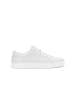 Kazar Sneaker Low  SILVAN in Beige