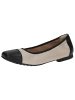 Caprice Ballerina in CREAM/BLACK