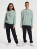 Hummel Hummel Sweatshirt Hmlhive Erwachsene in CLOUD BLUE