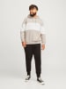 JACK & JONES PLUS Kapuzenpullover in Moonbeam