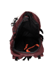 Jack Wolfskin Alpspitze Pack Daypack 54 cm dark maroon