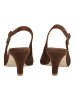 Gabor Pumps in Cacao