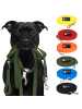 Reichstadt RS Pets Hundeleine Texturierte PVC in Green