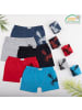 LOREZA 10er Pack Boxershorts - Adler - Bunt