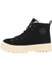 Palladium Schnürboots Pallashock Zip Warm in schwarz