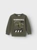 name it Sweatshirt NMMNAT JURASSIC in beetle