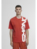 DNGRS Dangerous T-Shirt in red clay