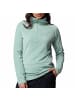 Columbia Glacial™ IV 1/2 Zip in Salbei