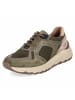 Josef Seibel Low Sneaker DAVIE 03 in grün