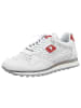 Cetti Sneaker Low in weiß