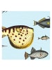 WALLPAPERS4BEGINNERS Tapete Fische in Blau - (W) 200 × (L) 280 cm