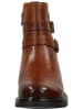 TT. BAGATT Stiefelette in Cognac