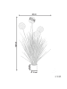 Beliani Kunstpflanze SNOWBALL BUSH in Grün/Weiß/Schwarz - (W) 60 x (H) 120 x (L) 60 cm