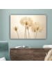 OnlyWow Leinwand Bilder Flaum