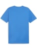 Puma T-Shirt "TeamGoal CasuaLongsleeve Tee" in Blau