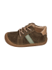 KOEL Sneaker Low BLAKE SUEDE in braun