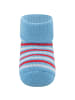 ewers 3er-Set Newborn Socken 3er Pack Wal/Ringel in navy-adria