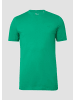 s.Oliver T-Shirt in 7595_grün