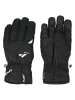 Zanier Handschuhe Valluga GTX in ZA2000 Black