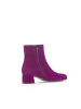 Gabor Stiefeletten Gabor Chelseaboots in orchid