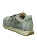Cetti Sneaker Low in Grün