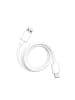 Wisam Teltech Kabel USB USB-C 5A 100W 1m weiß TCA-04
