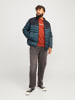 JACK & JONES PLUS Steppjacke in Magical Forest