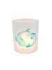 Mr. & Mrs. Panda Windlicht Sternzeichen Fische ohne Spruch in Transparent