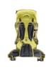 Deuter Rucksack Climber 22 in Gelb7015